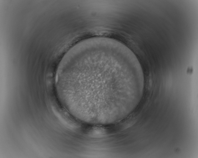 X0000113230263200910081413