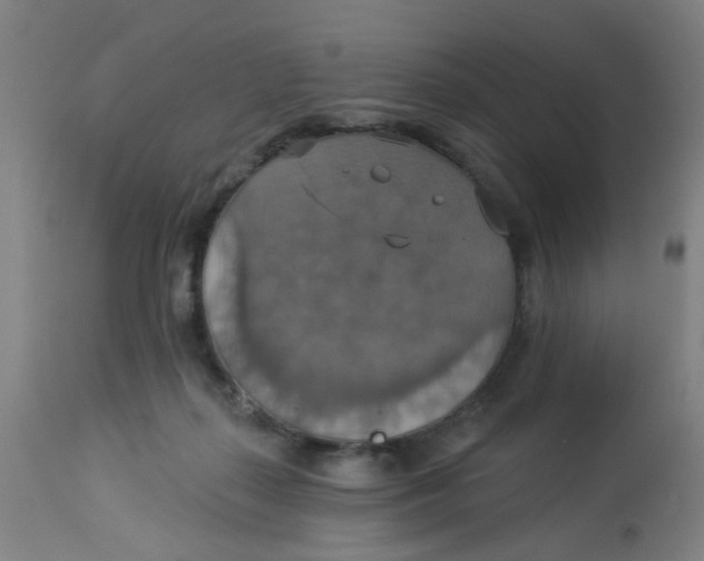 X0000113230267200910081413