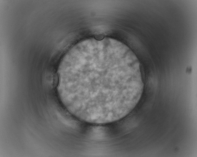 X0000113230268200910081413