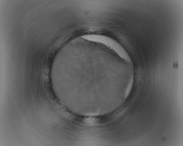 X0000113230269200910081413