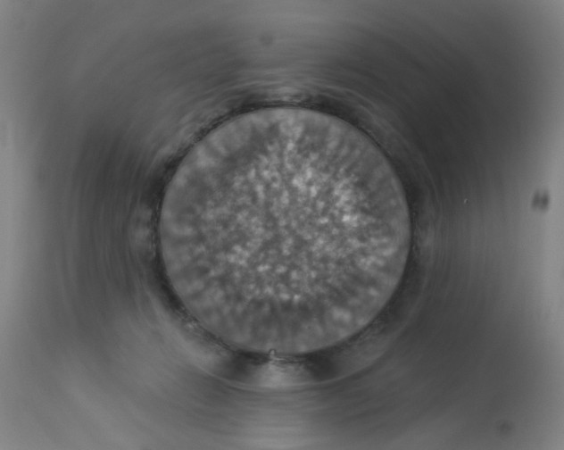 X0000113230270200910081413