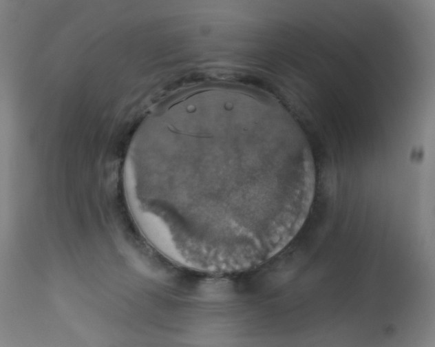 X0000113230271200910081413