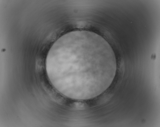 X0000113230272200910081413