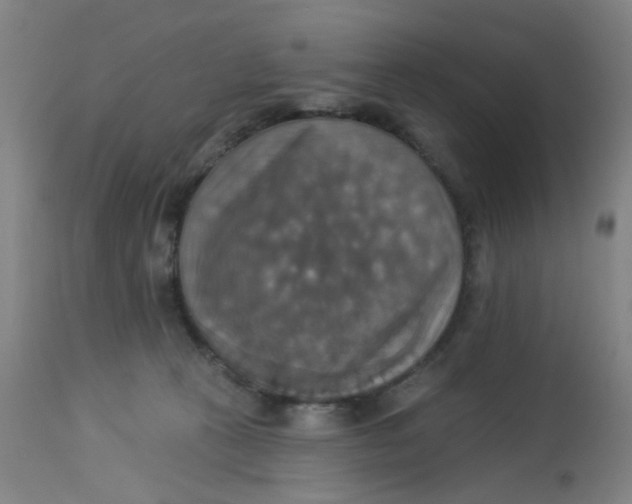 X0000113230273200910081413