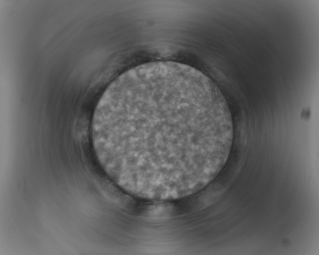 X0000113230274200910081413