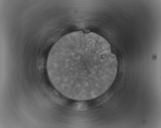 X0000113230275200910081413