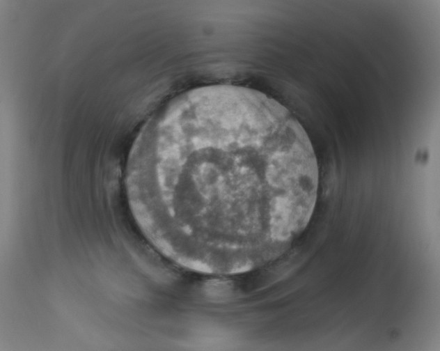 X0000113230279200910081413