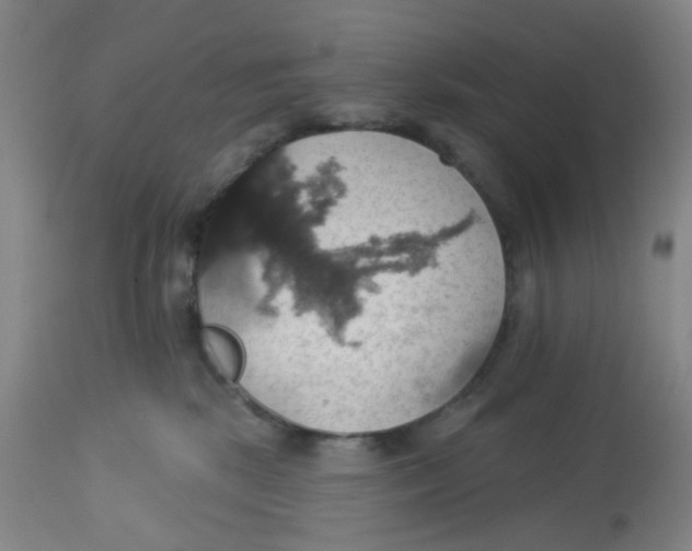 X0000113230281200910081413