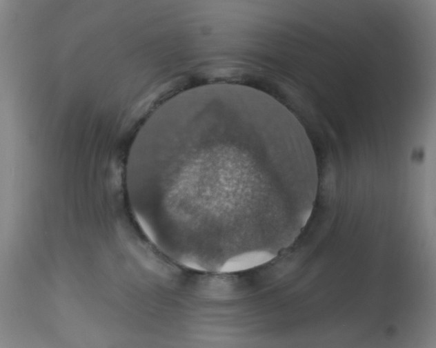 X0000113230282200910081413