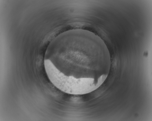 X0000113230283200910081413