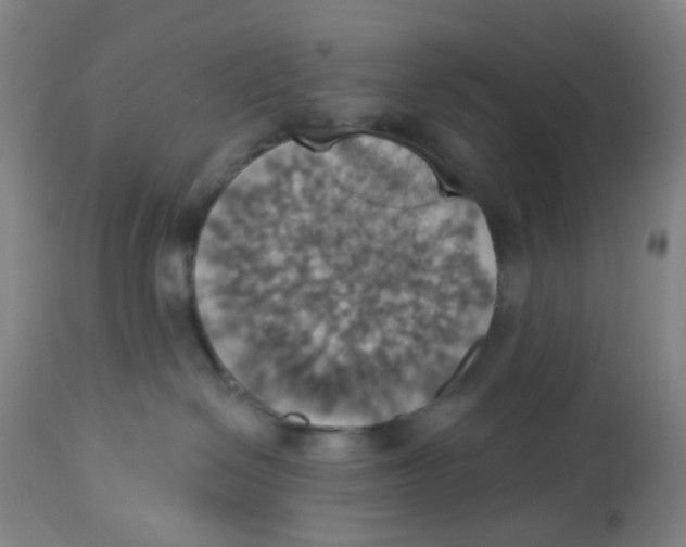 X0000113230286200910081413