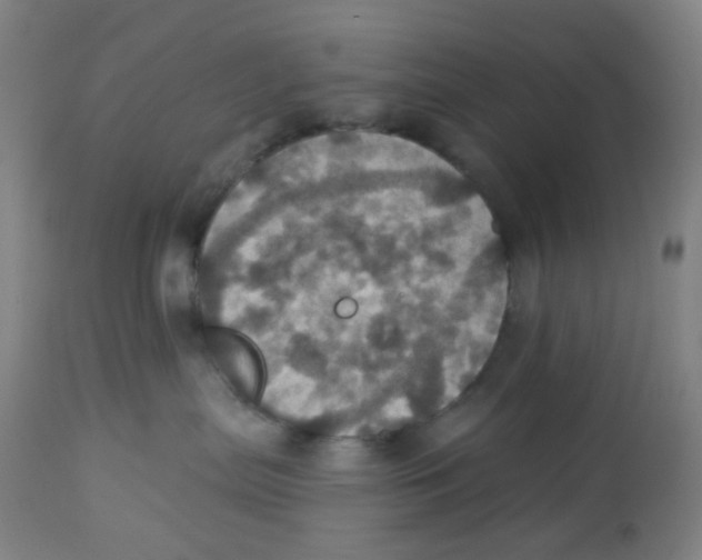 X0000113230287200910081413