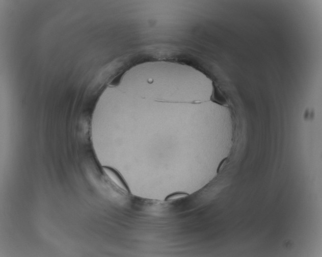 X0000113230288200910081413