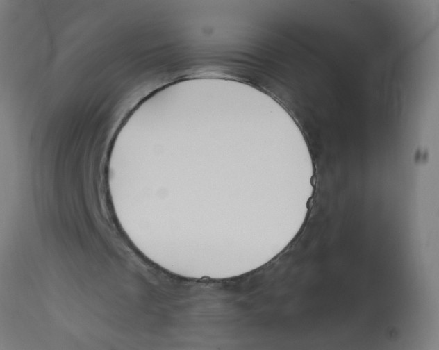 X0000113230289200910081412