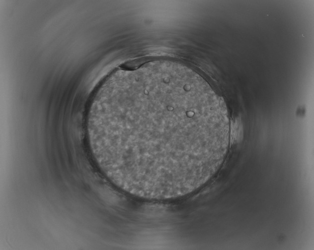 X0000113230291200910081412