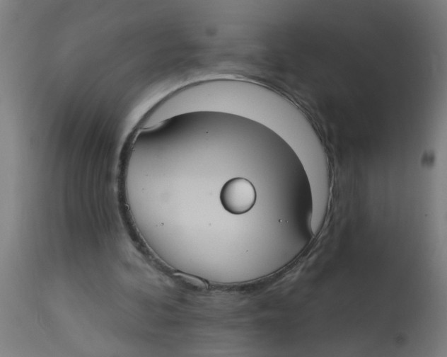 X0000113230292200910081412