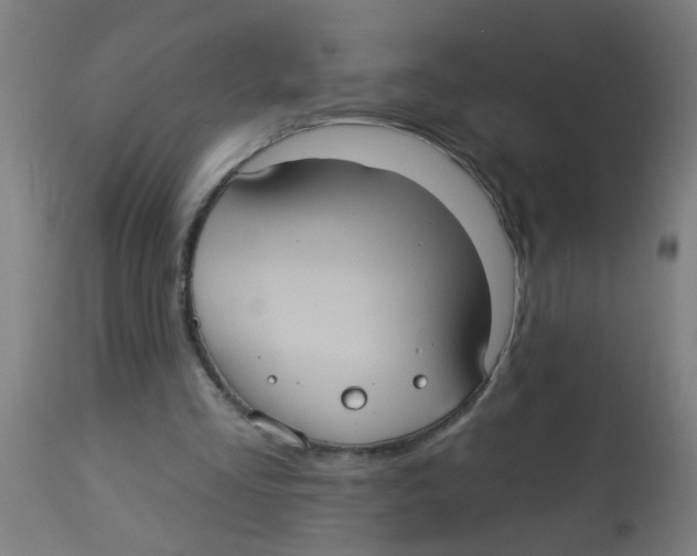 X0000113230293200910081412