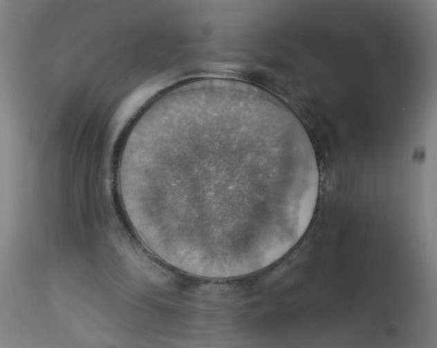 X0000113230294200910081412