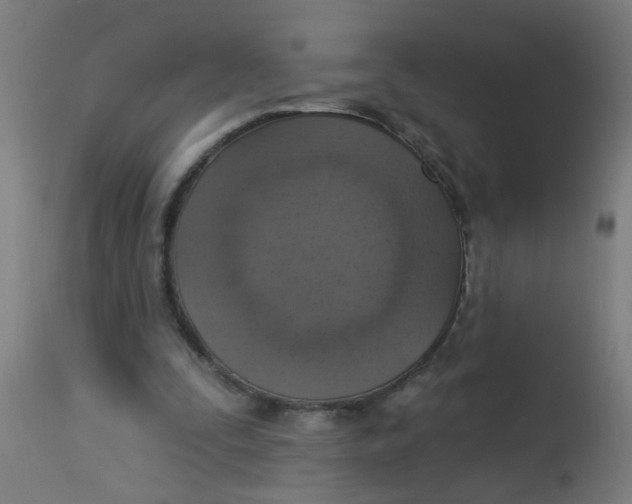 X0000113230295200910081412