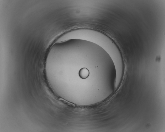 X0000113230297200910081412