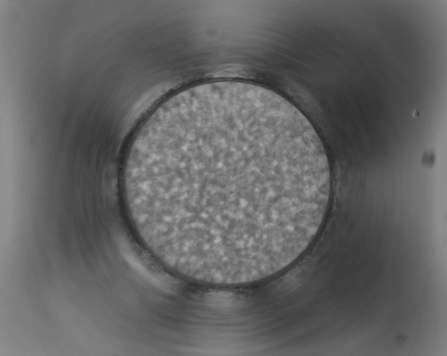 X0000113230298200910081412