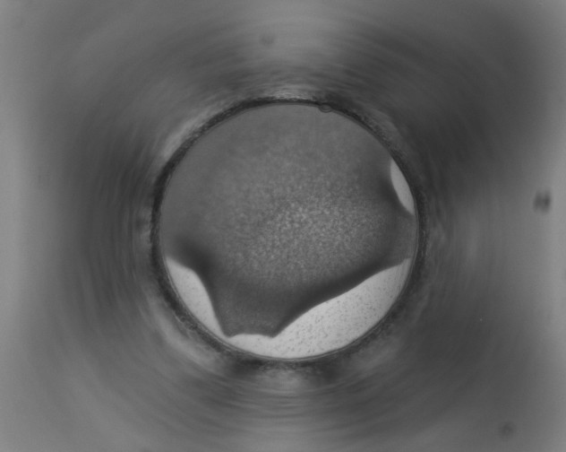 X0000113230299200910081412