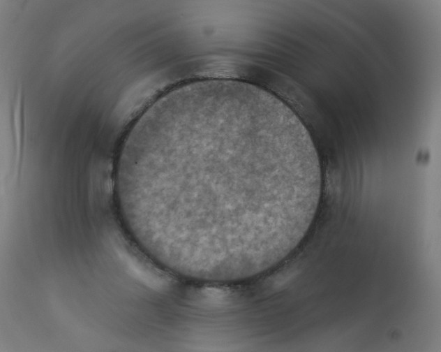 X0000113230302200910081412