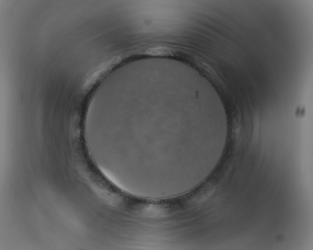 X0000113230303200910081412