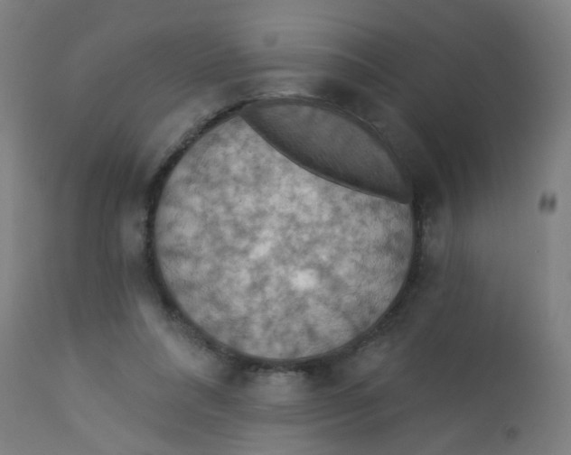 X0000113230304200910081412