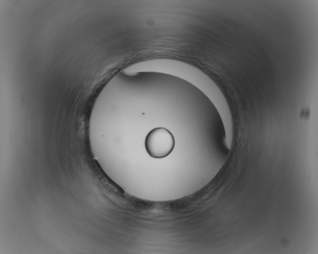 X0000113230308200910081412