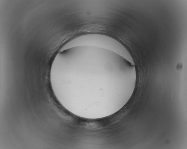 X0000113230309200910081412