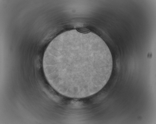 X0000113230311200910081412