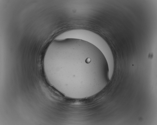 X0000113230312200910081412