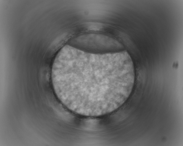 X0000113230313200910081412