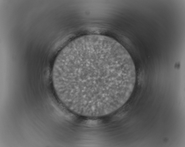 X0000113230314200910081412