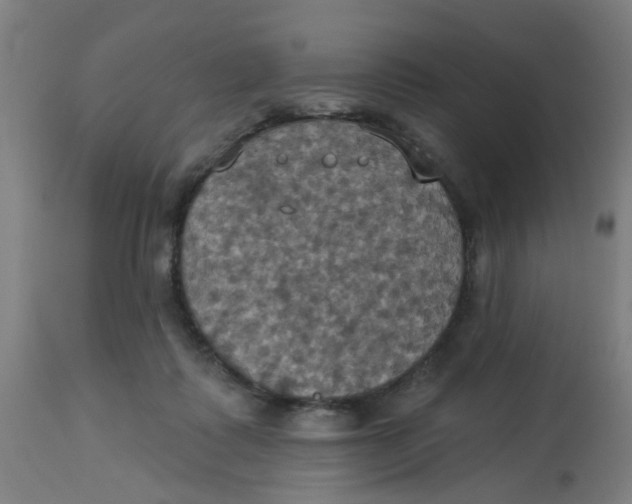 X0000113230315200910081412