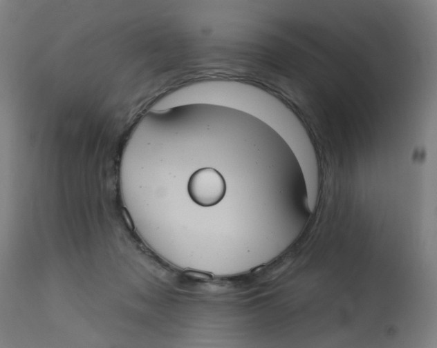 X0000113230317200910081412