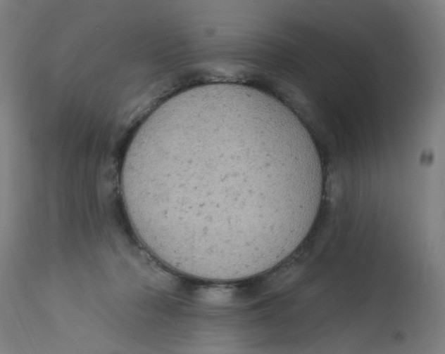 X0000113230318200910081412