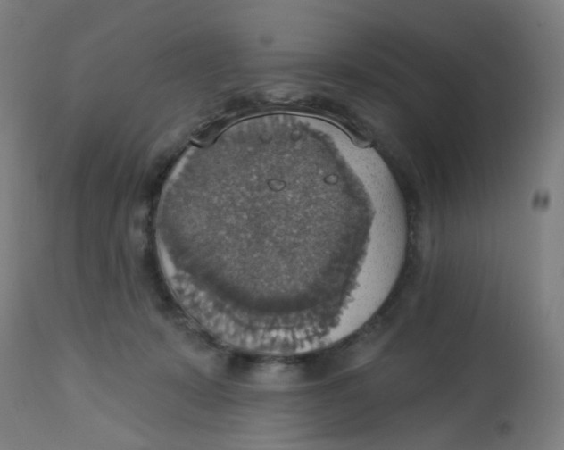 X0000113230319200910081412