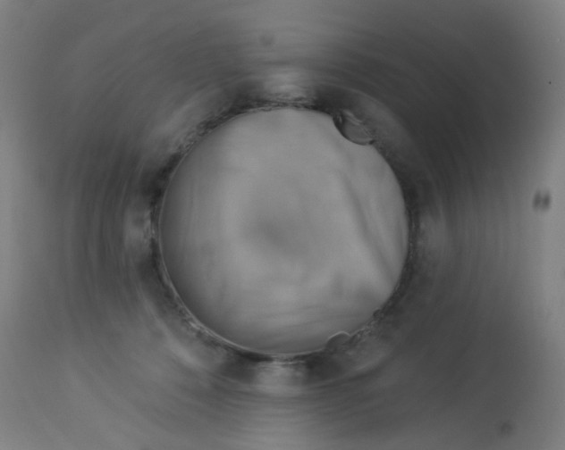 X0000113230320200910081412