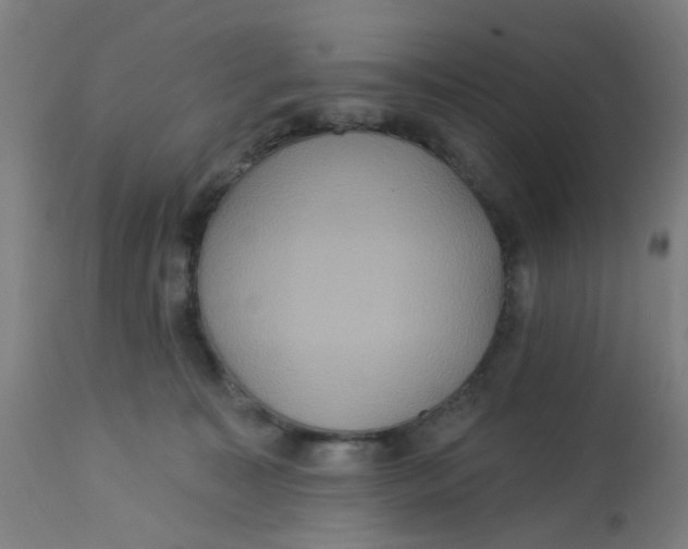 X0000113230323200910081412