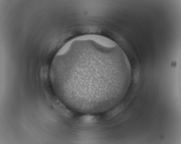 X0000113230326200910081412