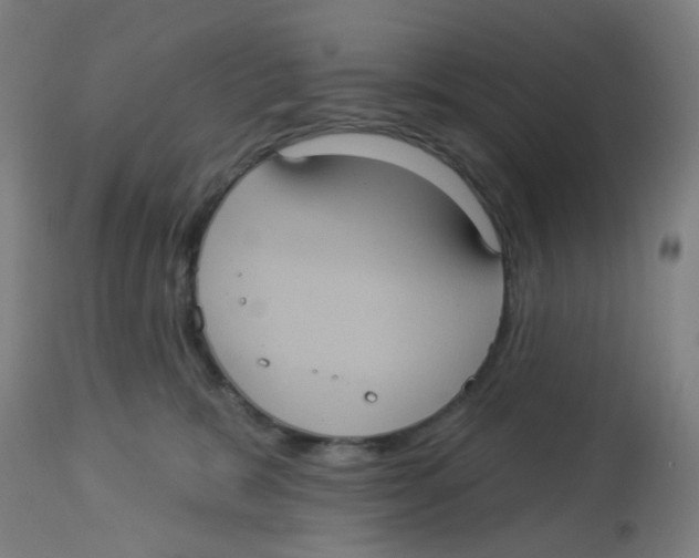 X0000113230327200910081412