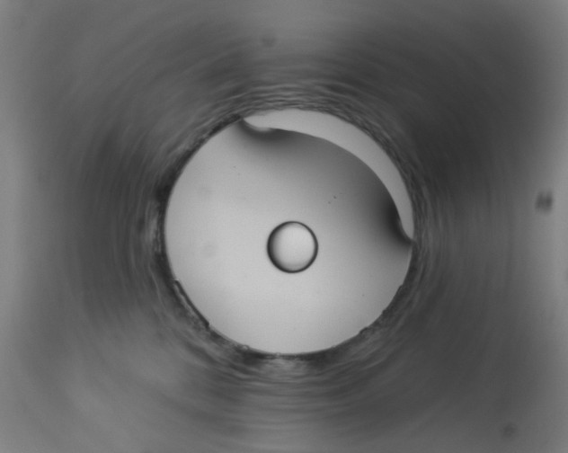 X0000113230328200910081412