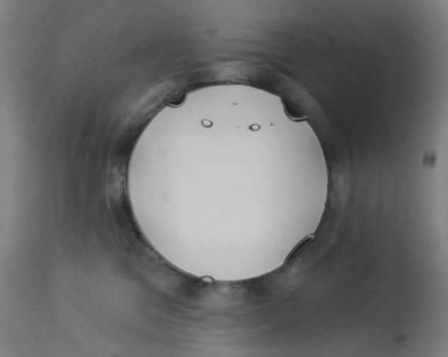 X0000113230329200910081412