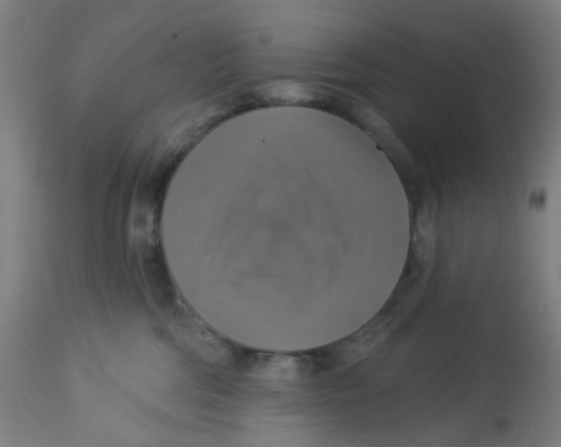 X0000113230330200910081412