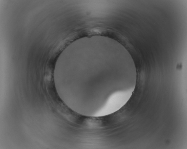 X0000113230331200910081412