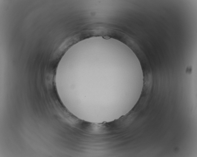 X0000113230333200910081412