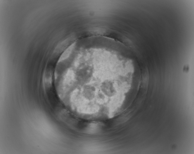 X0000113230334200910081412