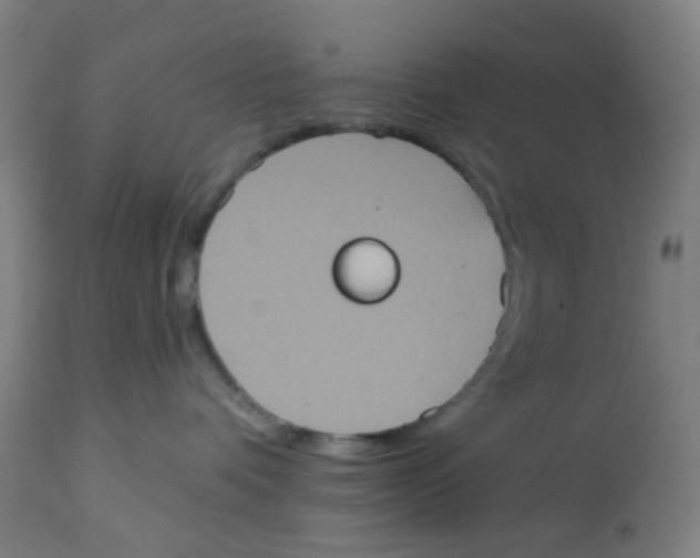 X0000113230336200910081412